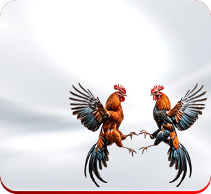 Sảnh đá gà TR88